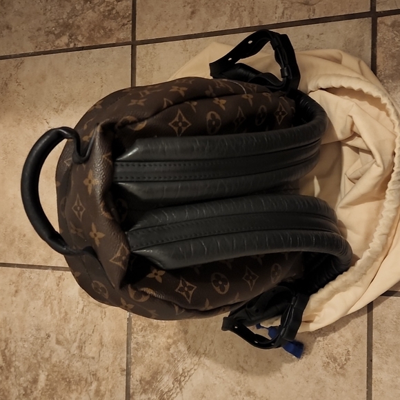 Louis VuittonPalm Springs Backpack Monogram Canvas PM - Picture 2 of 6
